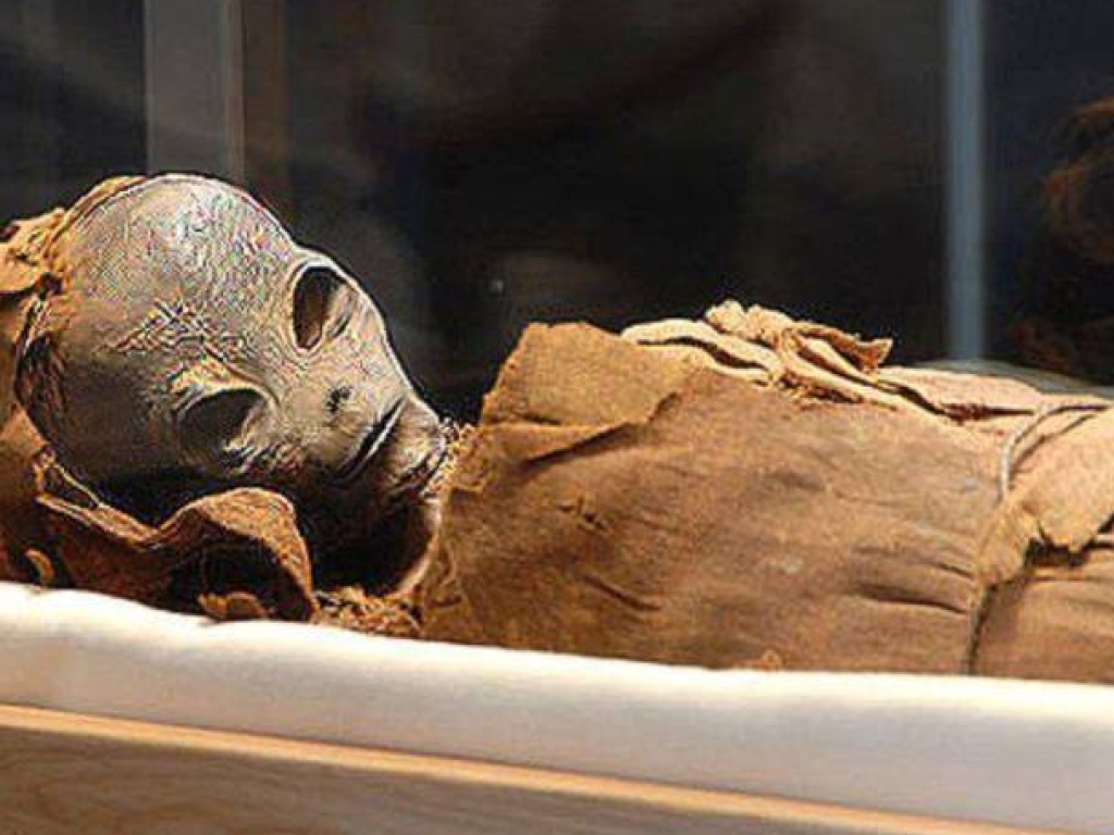 הרוסים מצאו ממצאים לא מהעולם הזה במצרים מתחת לפירמידות 94805123-extraterrestrial-mummy