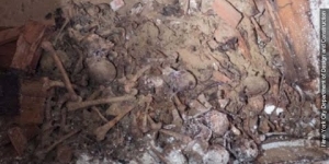 Heap Of Skeletons Found In Centuries-Old Vault Under NYC - Newsy